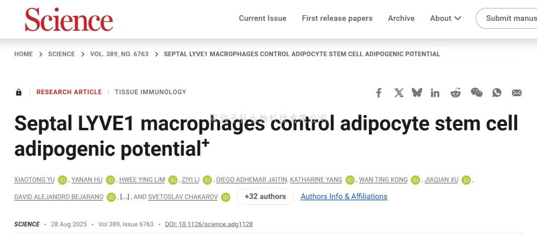 《科學(xué)》：上海交通大學(xué)團(tuán)隊(duì)發(fā)現(xiàn)促進(jìn)白色脂肪生成的巨噬細(xì)胞亞群，TGFβ1或成抗肥胖靶點(diǎn)
