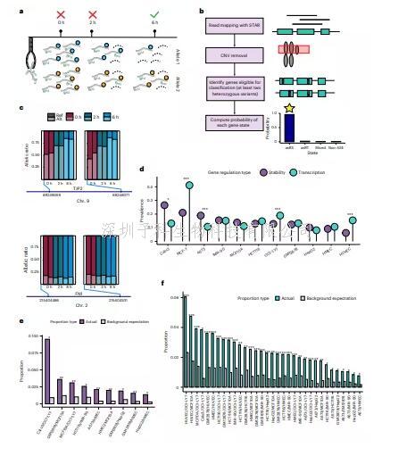 mRNA 穩(wěn)定性藏“致病密碼”！Nat Genet：5000+基因變異竟是免疫疾病推手，新工具破解基因調(diào)控盲區(qū)