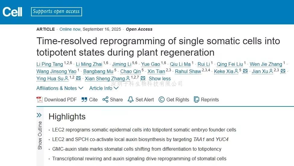 Cell：細胞“返老還童”記—— LEC2如何“劫持”氣孔發(fā)育通路以啟動胚胎程序