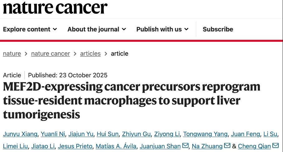 《自然·癌癥》：將肝癌扼殺在萌芽階段！重慶大學(xué)團(tuán)隊(duì)揭示癌前細(xì)胞驅(qū)動(dòng)肝癌發(fā)生的新機(jī)制，有望催生防肝癌療法